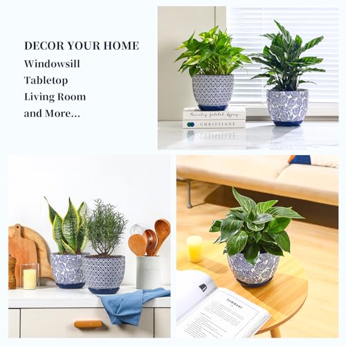 Selamica Ceramica Plant Pots, 6.5 Inch Flower Pots Set of 2 with Drainage Holes & Saucer, Planters for Indoor Plants, Home Decor, Vintage Blue - color: Vintage Blue, size: 6.5 Inch, Set of 2