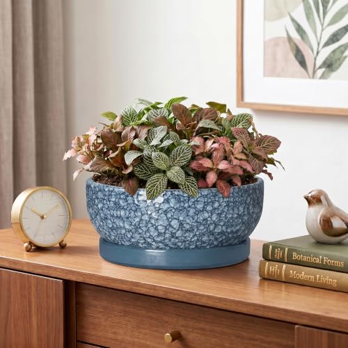Bonsai Planter, 8 Inch Ceramic Bonsai Pots with Saucer, Scale Blue - color: Scale Blue, size: 8 Inch