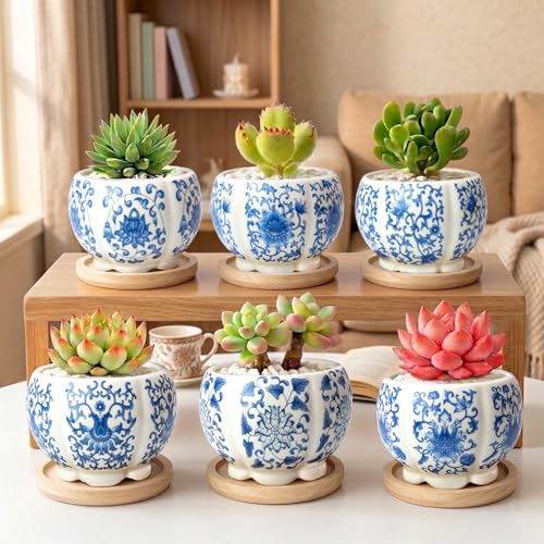 3.1 Inch Flower Pots Succulent Pots with Drainage Bamboo Tray Set of 6 - color: Blue-porcelain-hexagon-petal