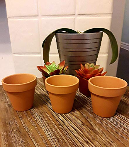 Black Duck Brand Set of 16 Terra Cot Pot Planter 2-1/2" x 2-1/2" Lawn & Garden Mini Flower Pots - 2.5" x 2.5" Terra Cotta (16)