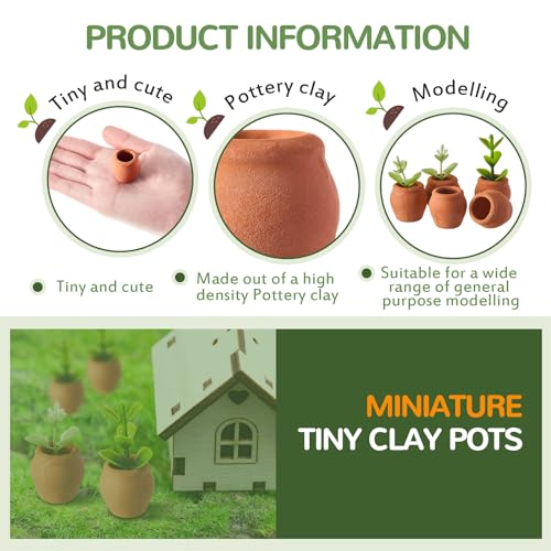 40 Pcs Mini Terracotta Clay Pots for Succulent Cactus Crafts
