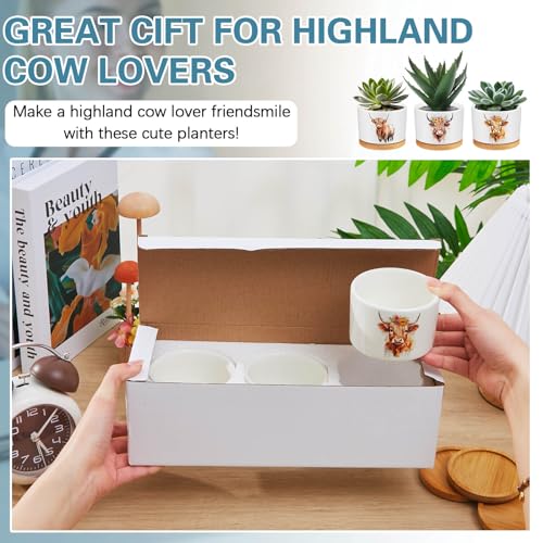 Jingmore 3 Pcs Highland Cow Succulent Planter, Ceramic Gift for Women - style: Highland Cow