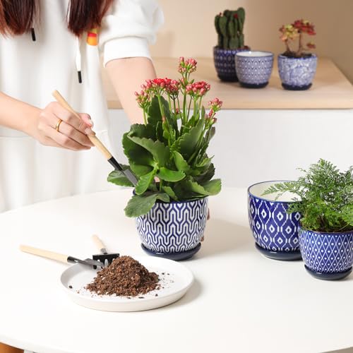 Selamica Ceramic Plant Pots, 4.6 Inch Flower Pots for Indoor Plants, Succulent Pots with Drainage Hole & Saucer, Succulent Planters for Succulent Cactus, Home Decor, Set of 4, Vintage Blue - color: Vintage Blue, size: 4.6 Inch, Set of 4