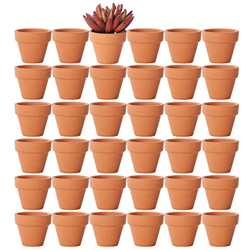 Yishang 1.9 Inch Tiny Terracotta Pots Pack of 36-Small Mini Clay Pots with Drainage Holes Flower Nursery Terra Cotta Planter for Tiny Cactus Herb lithop,Succulent Plants,Crafts,Wedding Favor - color: Terracotta