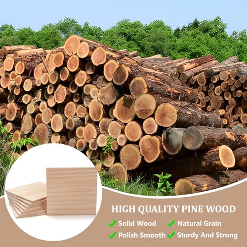 Wooden Blocks for Crafts, 6″ X 6″ Wood Blocks Squares for Crafts1/4″ Thick, 8 PCS Blank Wooden Boards for Crafting, Unfinished Wood Planks Pieces Panels for Paintings, DIY Signs, Woodworking - size: 6″x6″x1/4″ - 8PCS