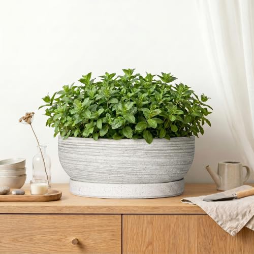 13 Inch Ceramic Bonsai Pots with Saucer, Brushed Grey - color: Brushed Grey, size: 13 Inch