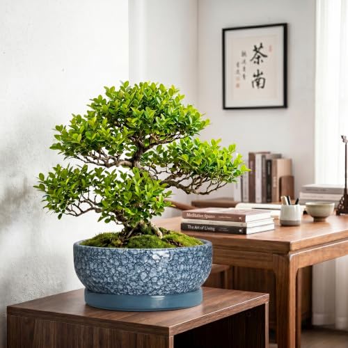 Bonsai Pots 13 Inch, Ceramic Succulent Planter with Tray, Scale Blue - color: Scale Blue, size: 13 Inch