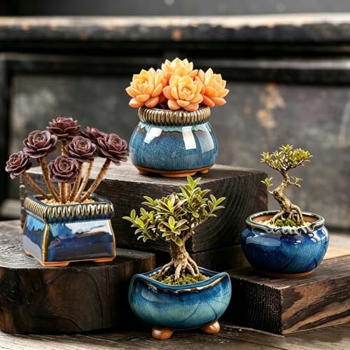 MUZHI 5PACK Glazed Bonsai Planter 3" Small Succulent Pots, RoundYixing Zisha Decorative Mame Bonsai Training Pot or Square Small Flower Cactus Starter Growing Planters Blue (5pcs Pots with Trays) - color: 5pcs Pots With Trays