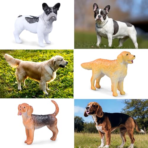 SIENON 12PCS Realistic Mini Dog Figures Pet Toys - size: 12 Pieces Miniature Dog Figures