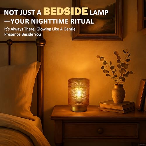 Battery Operated Decorative Lamp with Timer for Bedside/Bookshelf Decor,Cordless Small Accent Table Lamp with LED Warm Bulb for Nightstand/Entryway/Coffee Table/Office Cubicle/Dorm Room Decor(Gold) - color: Amber, size: 1 pack