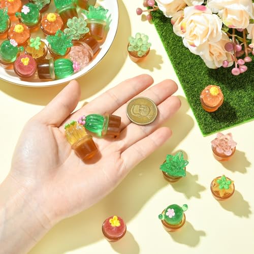 Stiesy Mini Cactus Decor Set 40Pcs, Transparent Resin Cactus Plant Miniature Figurines Display for Home Office Dollhouse Micro Landscape Desktop Decorations,8 Styles - color: Cactus-8 Styles-40pcs