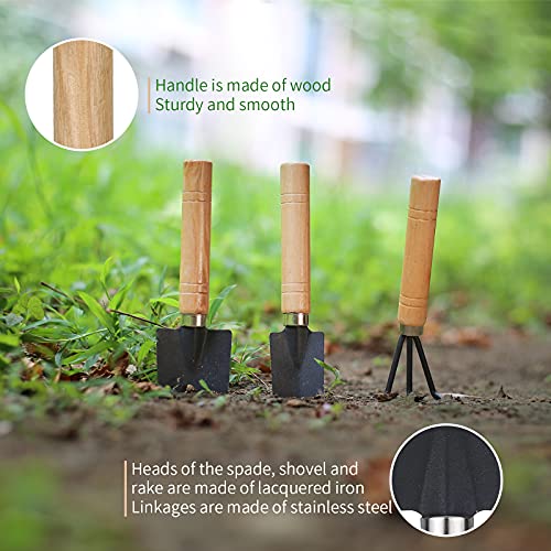 11Pcs Succulent Tools, Mini Garden Tools, Plant Repotting Set(No Flowerpot) - style: Abundant Garden Tools