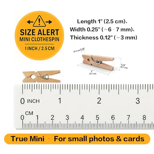 LWR CRAFTS Wooden Mini Clothespins 15 Colors 100 Per Pack 1" 2.5cm (All) - color: Multicolor