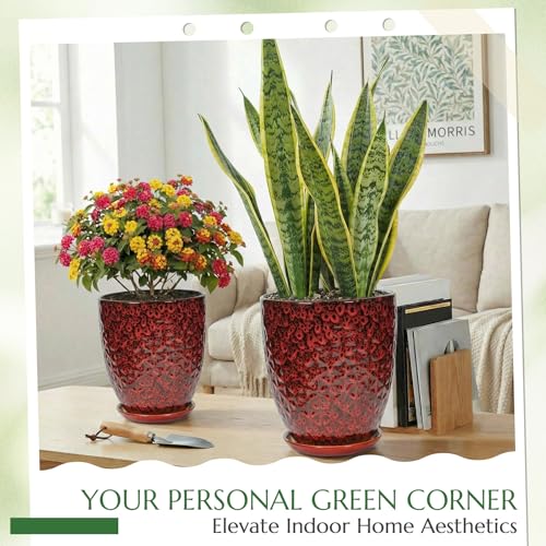 9.5 Inch Flower Pots for Indoor Plants,Ceramic Planter with Saucer Drainage Leak-Proof Mesh Gardening Gloves (Diamond Red) - color: Diamond Red, size: 9.5 Inch