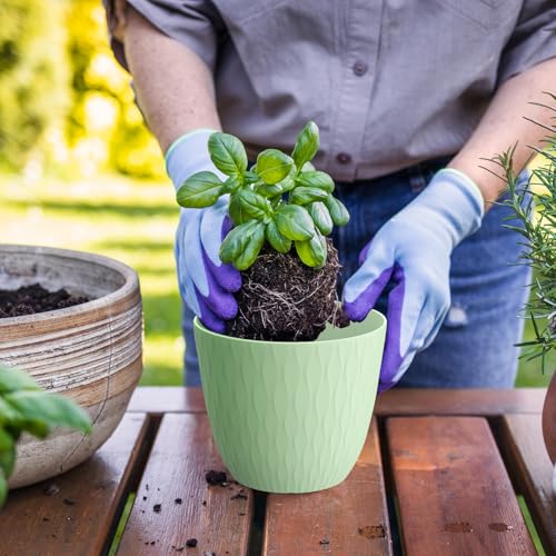 WSMKSZ 6 inch Plant Pots, 5 Pack Flower Pots with Drainage Holes and Saucers for Indoor Plants, Plastic Planters with Water Ripple for Small Garden House Plants, Nursery Pots for Succulent, Green - color: Green, size: 6inch 5pcs