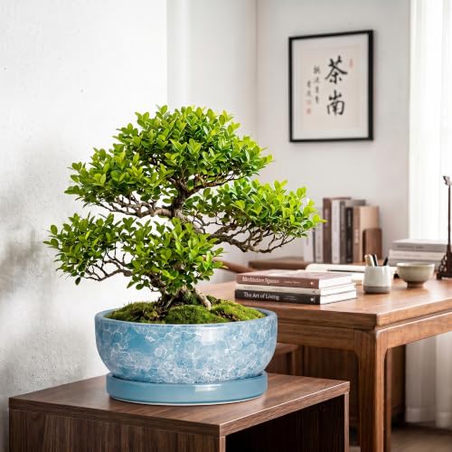Succulent Planter, 13 Inch Ceramic Bonsai Pots, Droplet Blue - color: Droplet Blue, size: 13 Inch
