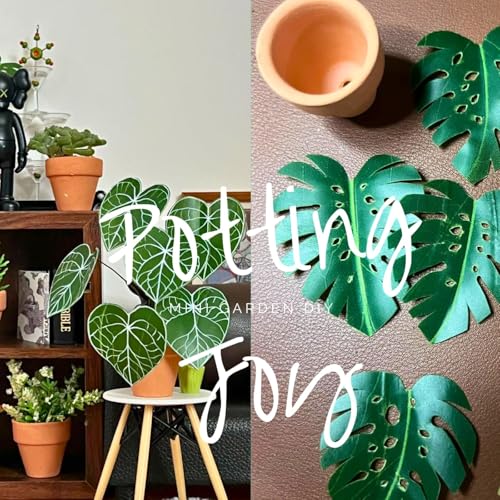 Mini Terracotta Pots – Small Clay Flower Pots for Succulents, Cactus, DIY Crafts, Fairy Garden, School Projects, Mini Planters – Set of 20 (Rimless Cylinder, 1.2 Inch) - size: 1.2 Inch, style: Rimless Cylinder