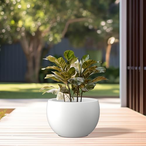 Kante Accent Round Bowl White Concrete Planter 15.7" Dia, Outdoor - color: Pure White, size: 15.7" d