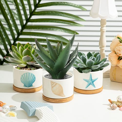 Jingmore 3 Pcs Ocean Theme Succulent Planter, Ceramic Gift for Women - style: Ocean
