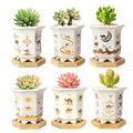 3.3 Inch Small Succulent Pots with Drainage and Bamboo Tray Set of 6 - color: Mid-e-hexagon-tall