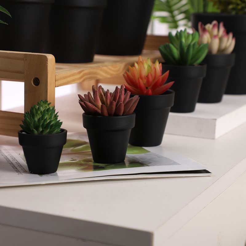 Yishang 1.9 Inch Tiny Black Terracotta Pots Pack of 72-Small Mini White Clay Pots with Drainage Holes Flower Nursery Terra Cotta Planter for Tiny Cactus,Herb,Succulent Plants,Crafts - color: Black