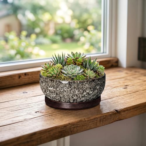 Succulent Pots 6 Inch, Ceramic Bonsai Pots with Tray, White Leopard - color: White Leopard, size: 6 Inch