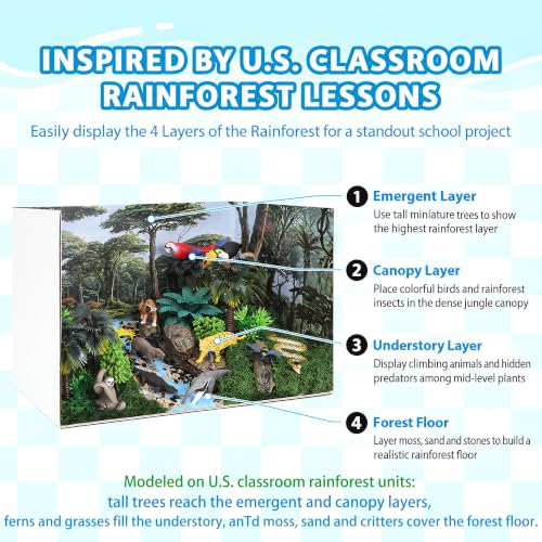 DZrudun Rainforest Diorama Kit, Large Diorama Box and 52Pc Diorama Supplies - color: Rainforest Diorama kit