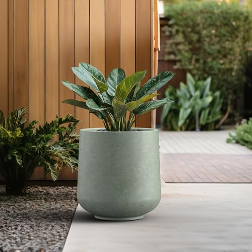 Kante Large Round Curved Mint Green Concrete Planter 16.5" Dia, Outdoor - color: Mint Green, size: 15.3" D