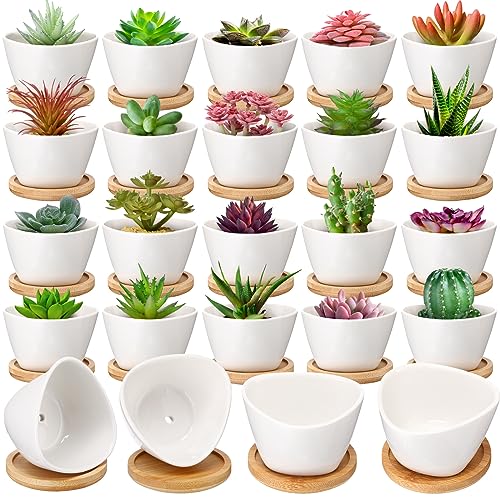 Domensi 24 Pack Small Succulent Pots, Mini Ceramic Succulent Planter, White