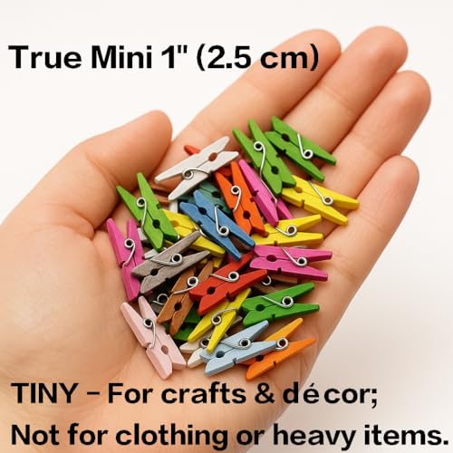 LWR CRAFTS Wooden Mini Clothespins 15 Colors 100 Per Pack 1" 2.5cm (All) - color: Multicolor