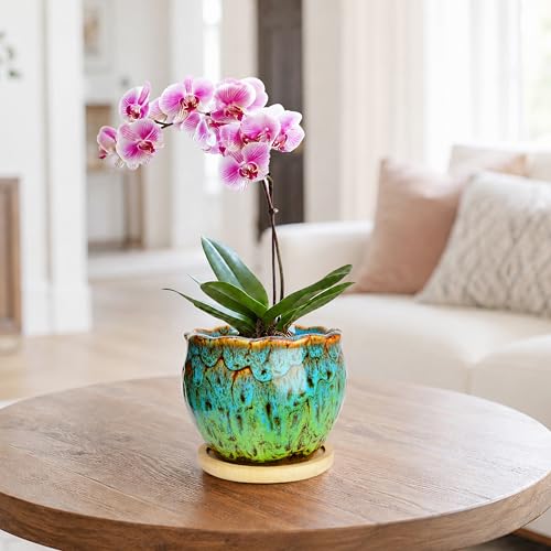 ARTKETTY Succulent Pots, 4 Inch Plant Pots with Drainage Tray - color: 4'' Colorful 1