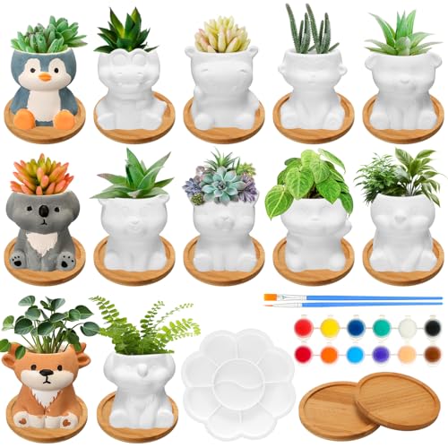 Hushee 12 Sets Ceramic Succulent Pots to Paint with Drainage - color: Animal