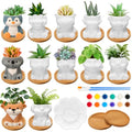 Hushee 12 Sets Ceramic Succulent Pots to Paint with Drainage - color: Animal
