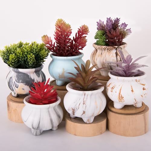 Succulent Pots, 3.8 Inch Small Plant Pot with Drainage Trays Set of 6 - color: Marble 3