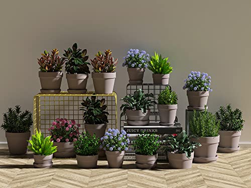 Fcacti 27 Pcs Small Mini Grey Clay Pots 2.1'' Terracotta Pot Clay Ceramic Pottery Planter Cactus Flower Pots Succulent Nursery Pots- Great for Window Boxes, Cactus, Plants, Crafts, Wedding Favors - color: Gray