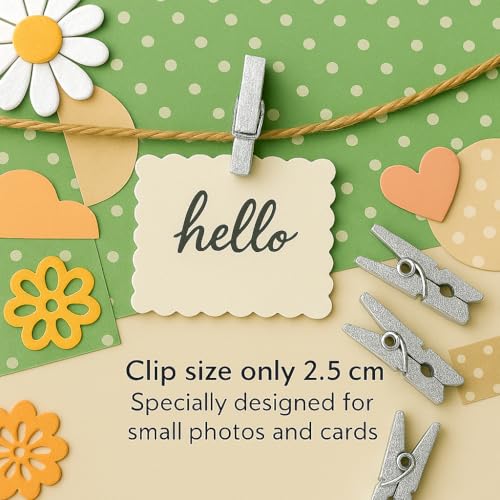 LWR CRAFTS Wooden Mini Clothespins 100 Per Pack 1" 2.5cm (Silver) - color: Silver