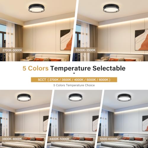 Modern Flush Mount Ceiling Light, Black Dimmable Ceiling Light Fixture - color: Black, size: 12.6in