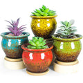 Succulent Pots, 4.5 Inch Small Plant Pots with Drainage Tray - color: Colorful
