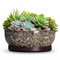 Succulent Pots, 10 Inch Ceramic Bonsai Tree Pots, White Leopard - color: White Leopard, size: 10 Inch