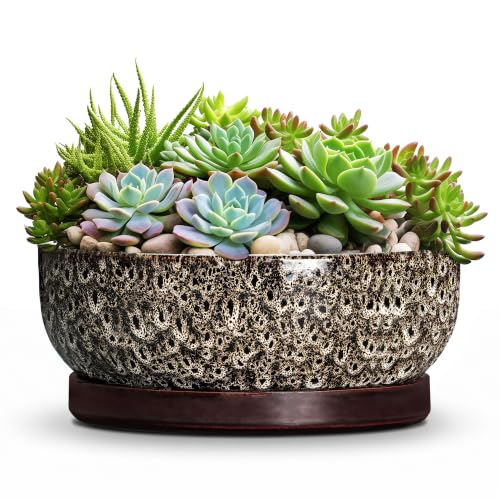 Succulent Pots, 10 Inch Ceramic Bonsai Tree Pots, White Leopard - color: White Leopard, size: 10 Inch