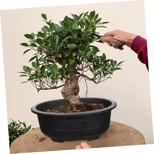 2Pcs Bonsai Training Pot 15 inch Plastic Flower Pot Bonsai Pot with Drainage Hole, Bonsai Planter Pot Plants Growing Pots for Nursery, Garden, Balcony, Black