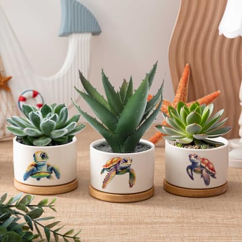 Jingmore 3 Pcs Sea Turtle Succulent Planter, Ceramic Gift for Women - style: Sea Turtle