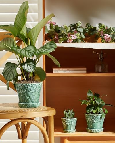 Metahom Ceramic Plant Pots Set of 3, Green Color, Embossed Design - color: Green