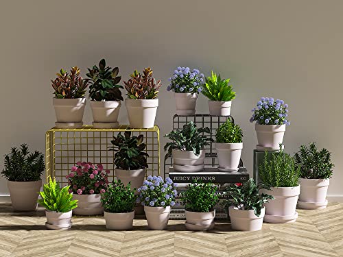 Fcacti 27 Pcs Small Mini Pink Clay Pots 2.1'' Terracotta Pot Clay Ceramic Pottery Planter Cactus Flower Pots Succulent Nursery Pots- Great for Window Boxes, Cactus, Plants, Crafts, Wedding Favors - color: Pink,white