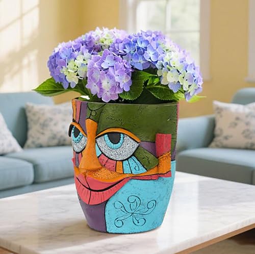Picasso Abstract Resin Flower Pots Colorful Unique Face Planters Pots Head - color: Smiling Face