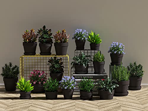Fcacti 27 Pcs Small Mini Black Clay Pots 2.1'' Terracotta Pot Clay Ceramic Pottery Planter Cactus Flower Pots Succulent Nursery Pots- Great for Window Boxes, Cactus, Plants, Crafts, Wedding Favors - color: Black
