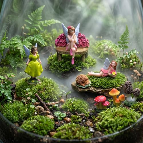 Fairy Garden Figurines Set of 6-3 Mini Fairies with 2 Mushrooms & Hedgehog, Resin Miniature Figurines for Fairy Garden Decor, Outdoor Garden Statues, DIY Terrarium Accessories - color: 6pc