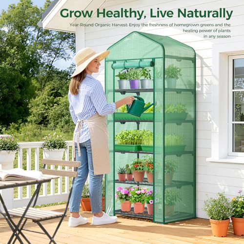 Mini Greenhouse for Indoor Outdoor: Ohuhu 23 x 19 x 75-Inch Small Plastic Plant Green House 5-Tier Rack Stand Portable Greenhouses with Durable PE Cover for Seedling, Ideal Gardening Gifts - color: Green, size: 5 Tier Single Layer Roof