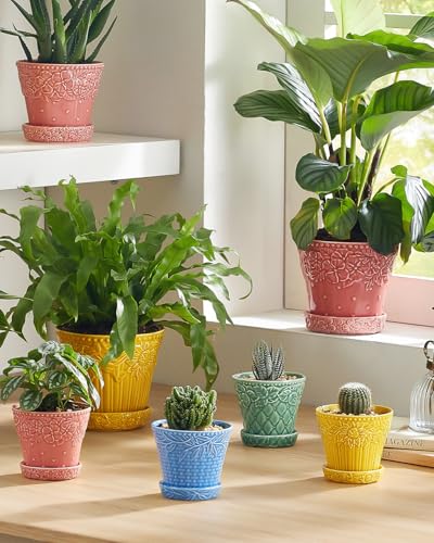 Metahom 3.8 Inch Succulent Pots, Colorful Ceramic Pots for Plants, Set of 4 - color: Assorted Colors, size: 3.8 Inch