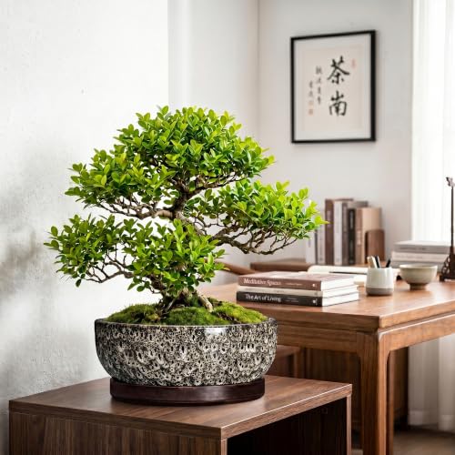 13 Inch Ceramic Bonsai Tree Pot with Saucer, White Leopard - color: White Leopard, size: 13 Inch